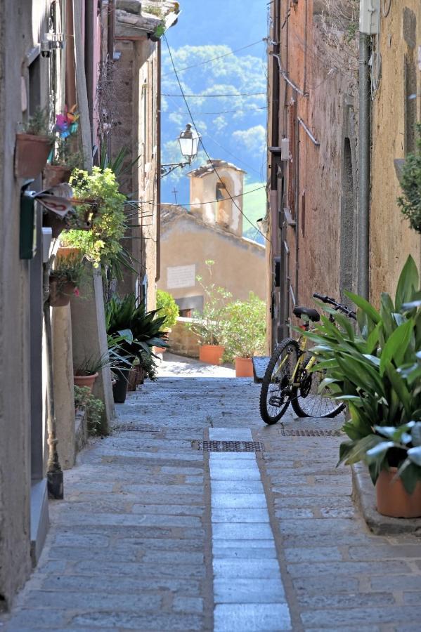 Palazzo Granaroli Apartment Bagnoregio Exterior photo